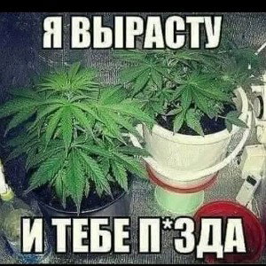 братва