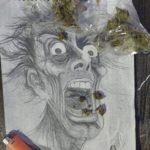 mota de fiebre 