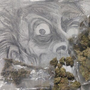mota de fiebre 