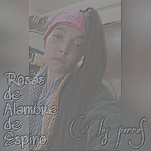 RdAdE base