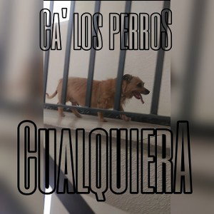 Cualquiera HofD