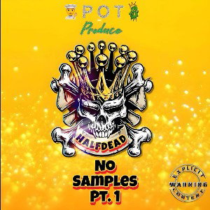 NO SAMPLE