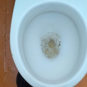 Все рыготня