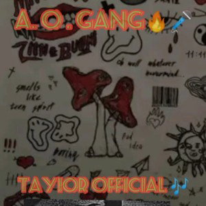 A. o.&gang