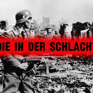 DIE IN DER SCHLACHT