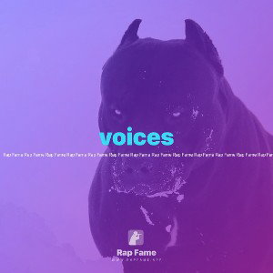 voices 