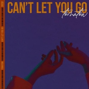 I can't let you go