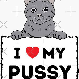 My kitty cat