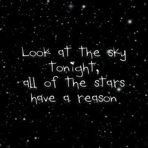 Star Shopping Cover