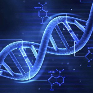 BioligicalEquation