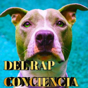 DEL RAP CONCIENCIA 