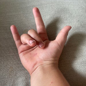 gang