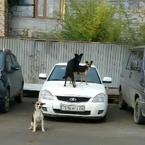 Я ВЕРНУЛСЯ