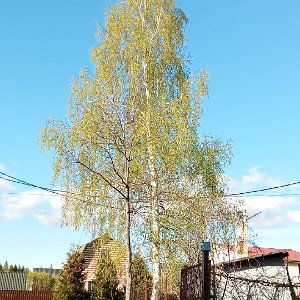много смысла ( отьебу) 