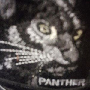 BLACK_PANTHER_SM_RIGHT