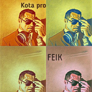 Kota pro - FEIK(дэмо) 