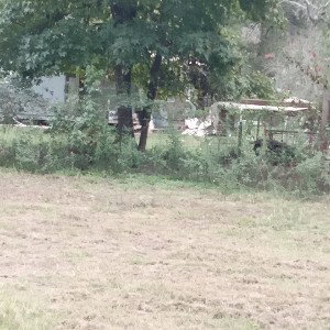 our neighbors 