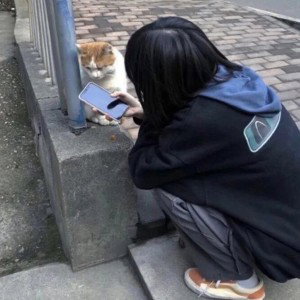 Джоин зе крис