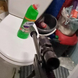 domestos pałer bank