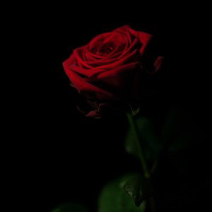 🥀Mis Rimas🍀🌪️