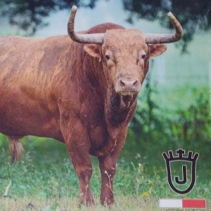 primer toro de sanjuan