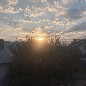 The hope