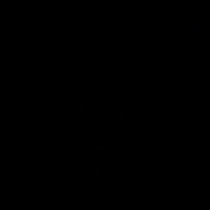 BL5TT