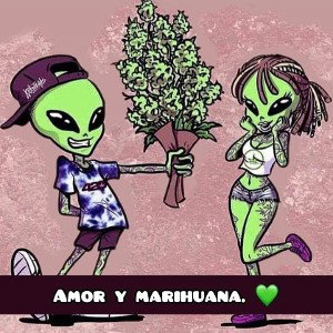 pienso 