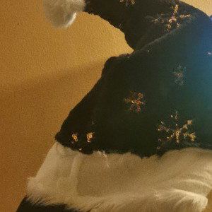 Lil Sahni - Mega geil, der beste Weihnachten (feat. Big Ali, Juggernotch, annonymerfeature)