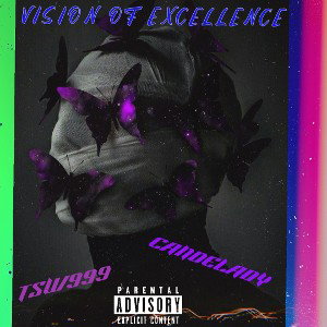 VISION OF EXCELLENCE 