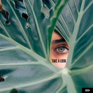 Flexyskido - Take A Look