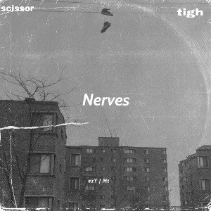 nerves