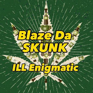 Blazin Skunk song