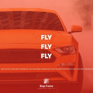 fly