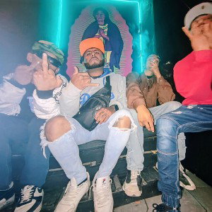 Real Stylo 22 - plaga 