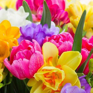 Angel...intro...
