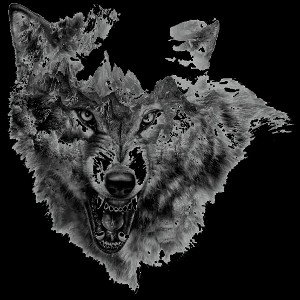 wulf 