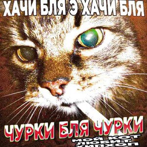 О делах насущных