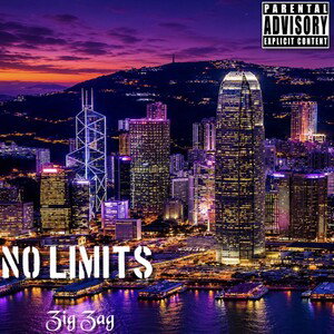 Zig Zag- No Limits