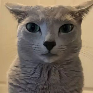 bitch pussy