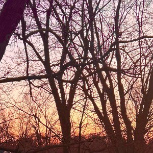 morning time sun