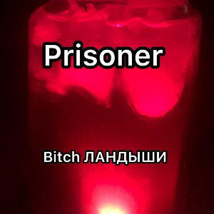 Fiery DAD, 1 x bet - Bitch ландыши 