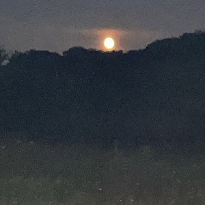Bin abends draußen mit meinem bras rauche ein blat auf der strat 