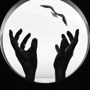 Libertad