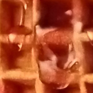 Ice 