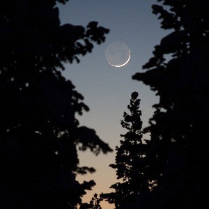 Night Forest beat [prod.Pledge Yungz]