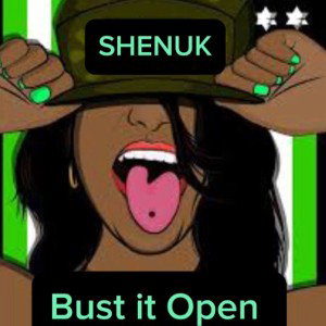 Shenuk:Bust It Open