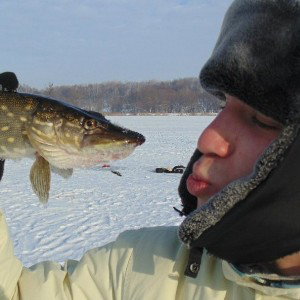 гайдамаки