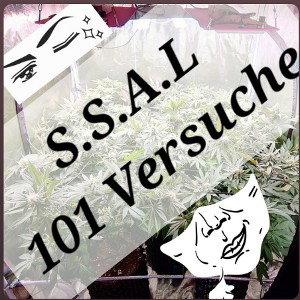 S.S.A.L 100 versuche