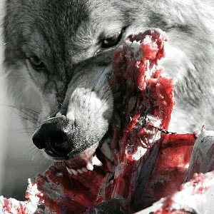 fume la zaza 